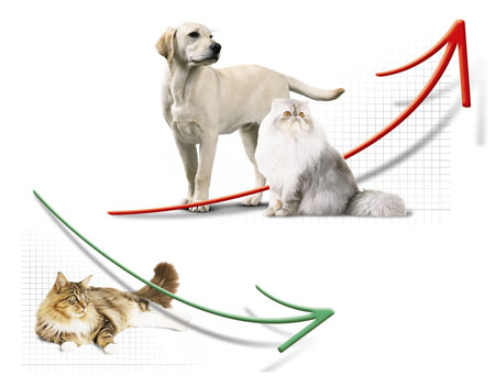 034_royalcanin