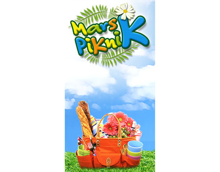 054_marspiknik