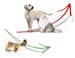 034_royalcanin