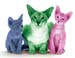 036_royalcanin
